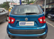 True Value Certified Ignis Zeta- Backview
