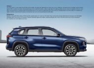 GRAND VITARA SMART HYBRID ALPHA DUAL TONE