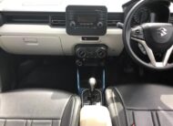 2017 IGNIS  DELTA AMT